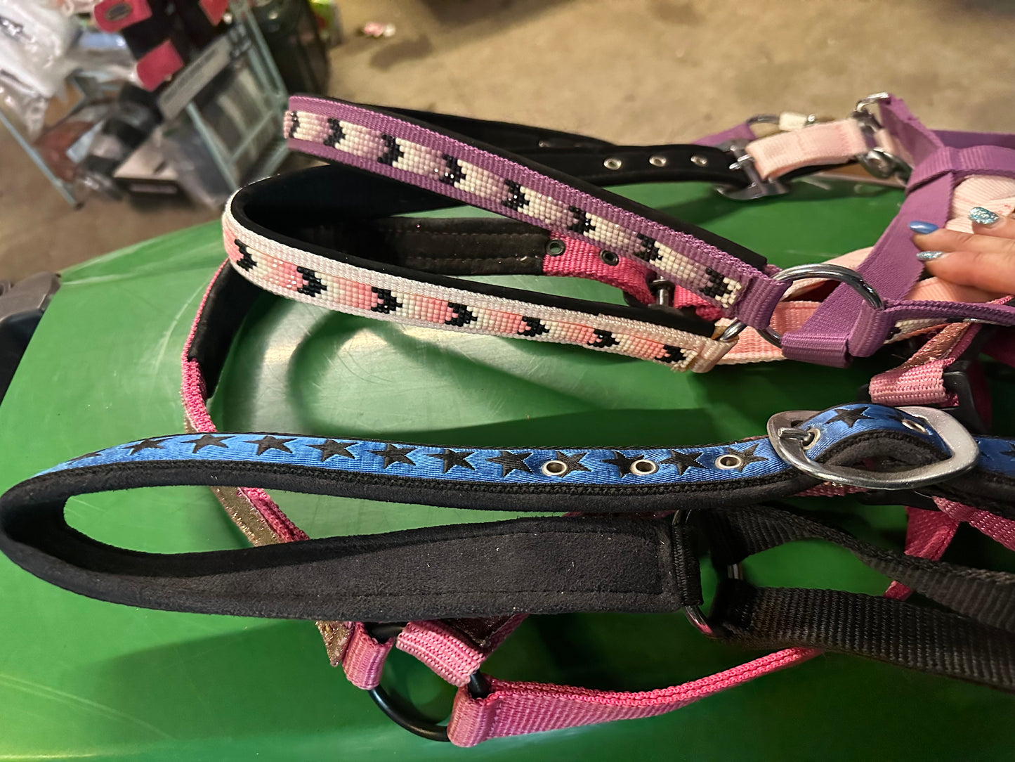 Horse halters with prints