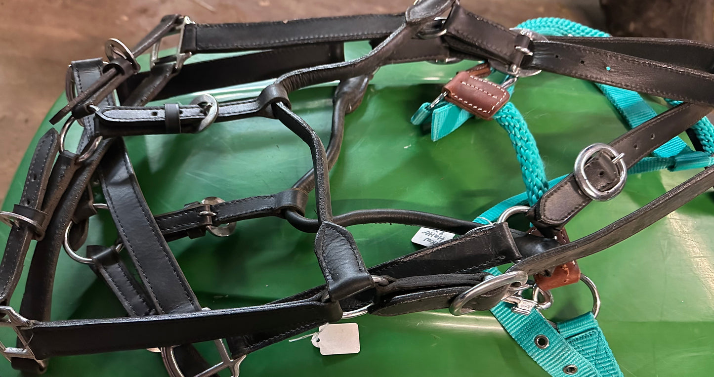 Leather halters