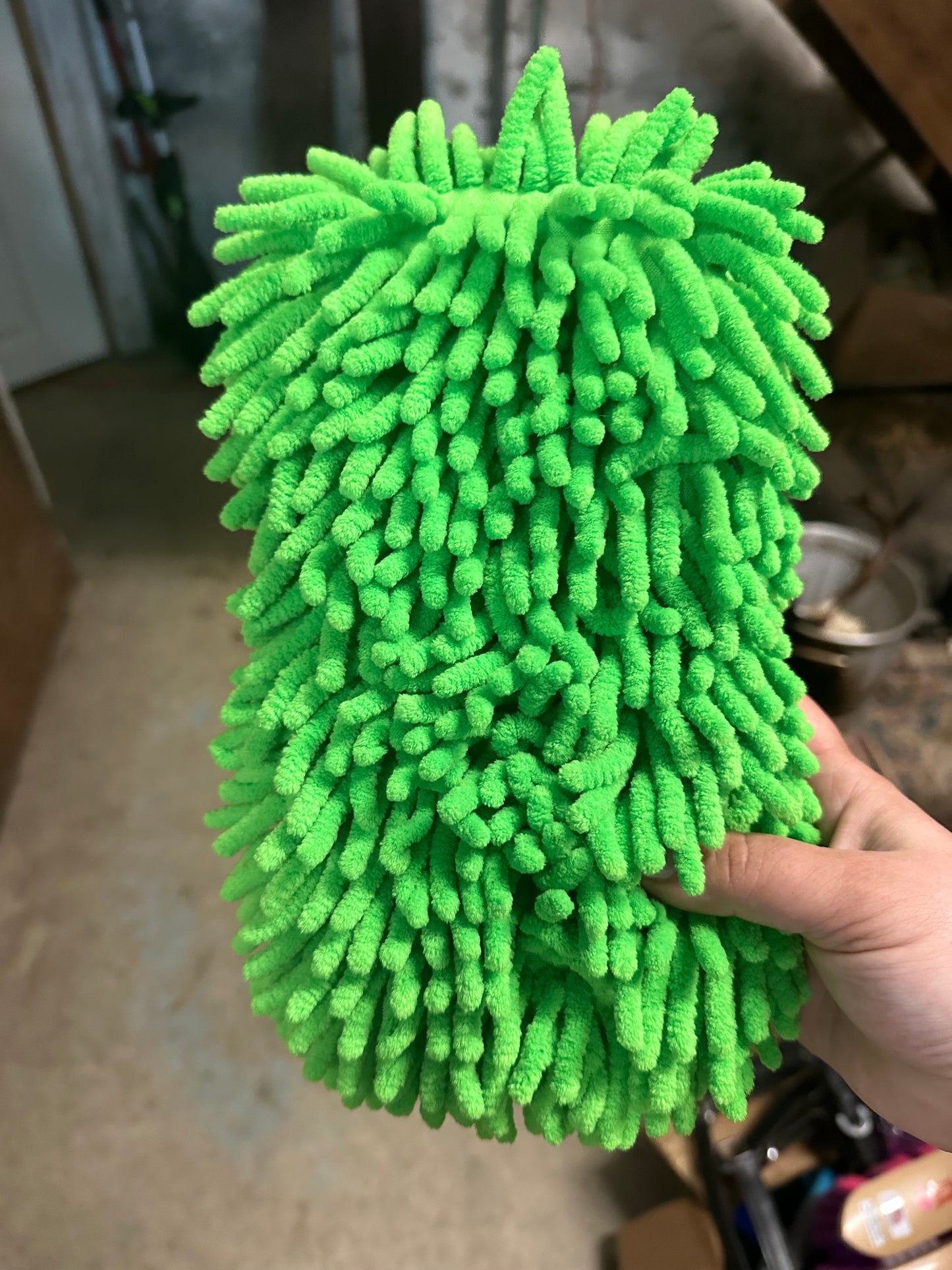 Sponges
