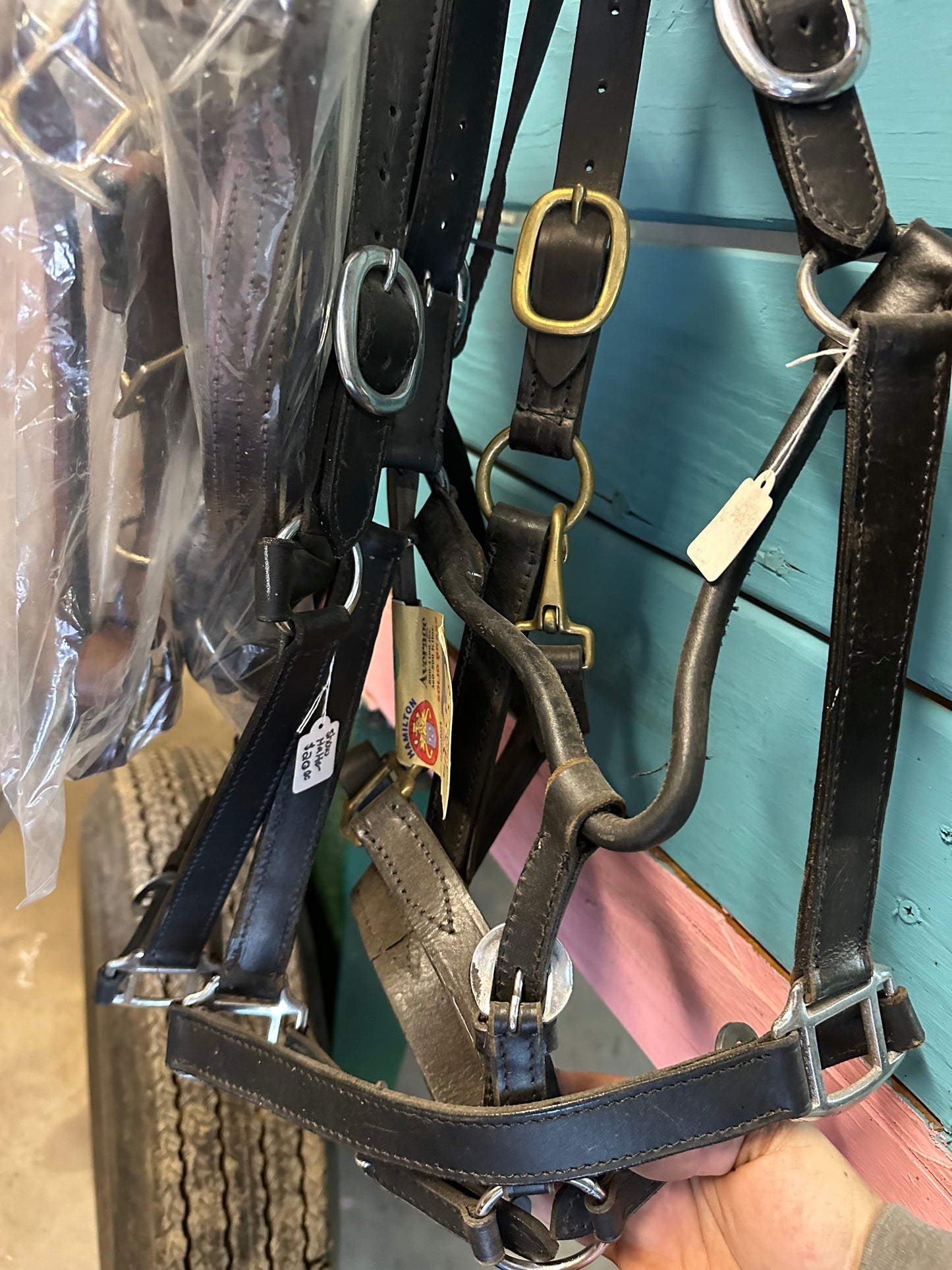 Leather halters