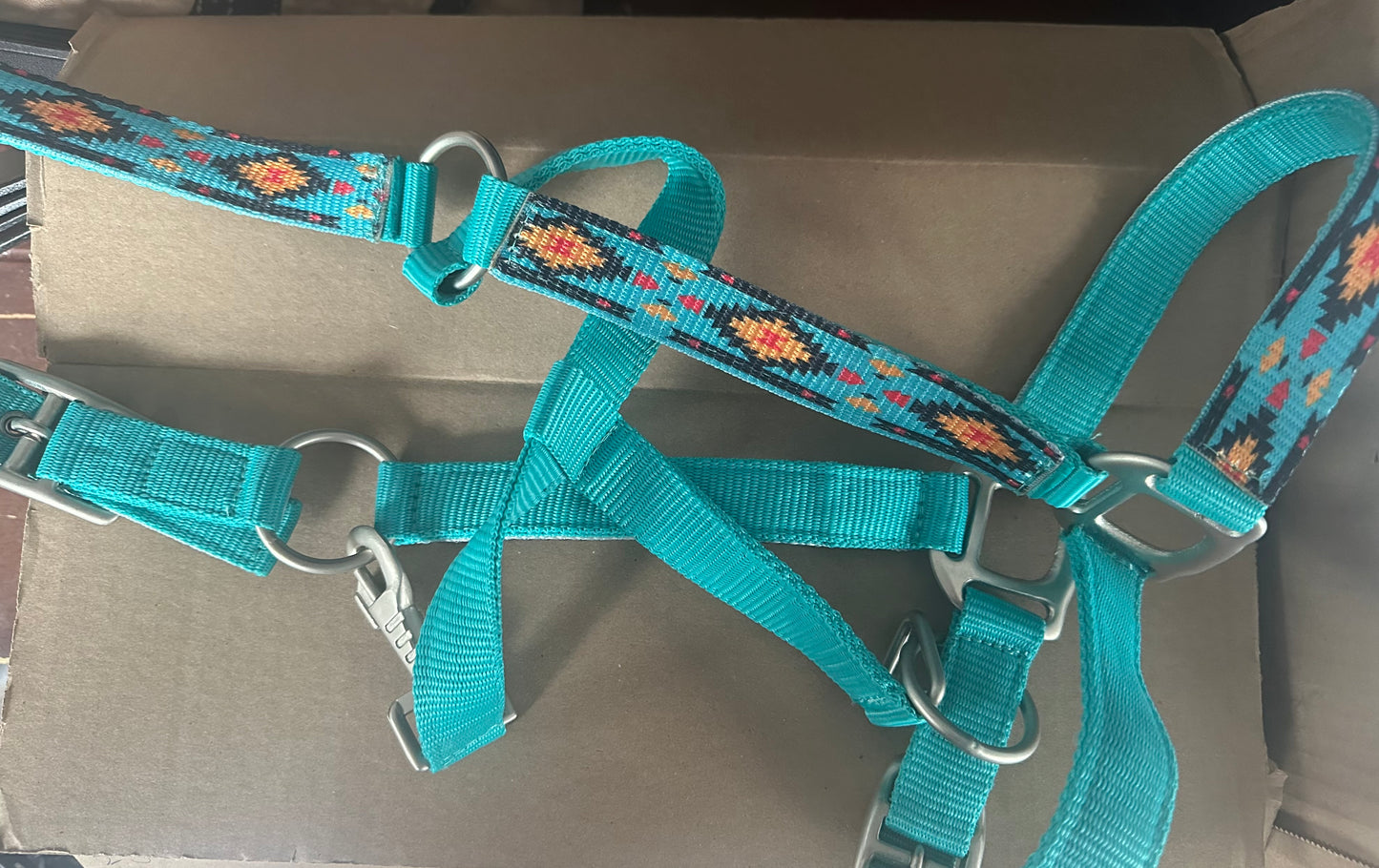 Horse sized teal halter